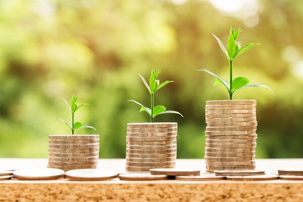 Negocios Creativos: El Poder de la Innovación en el Mercado Chileno